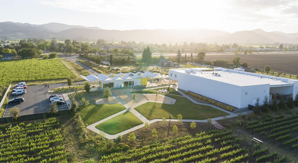 AshesandDiamondswinery10153 1024x561