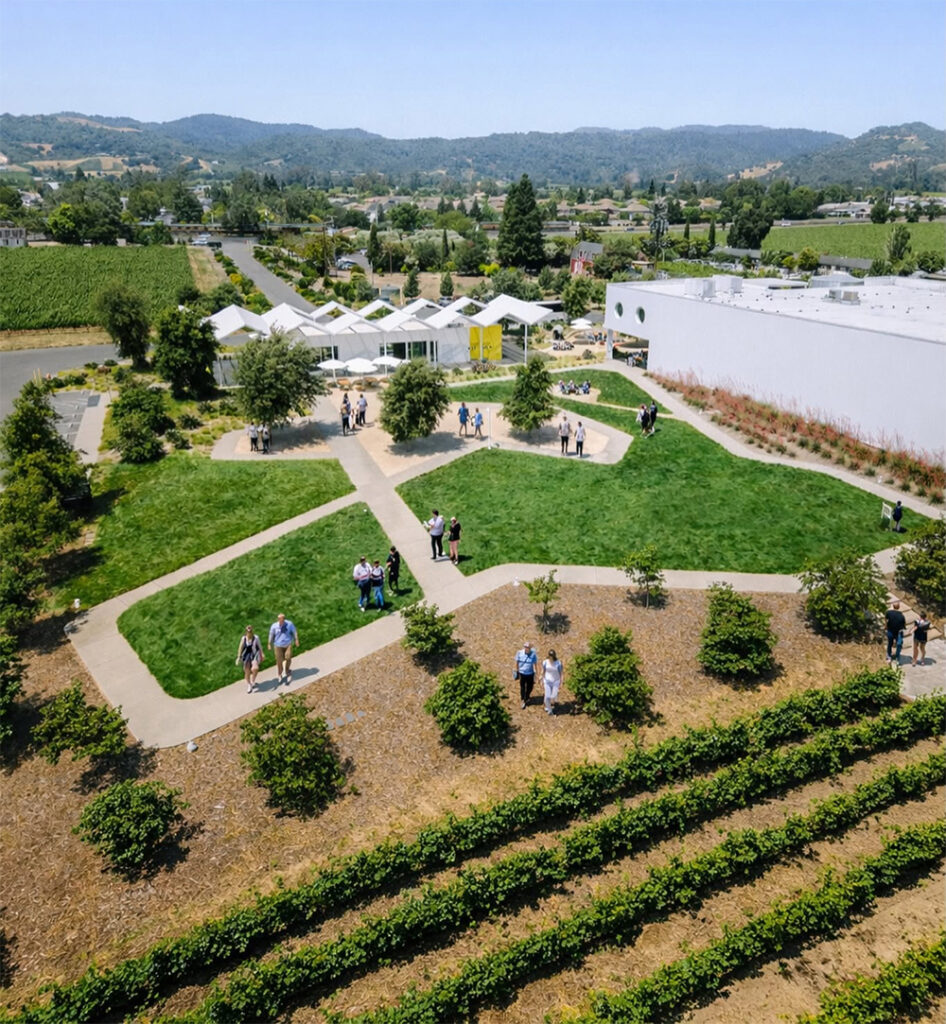 AshesandDiamondswinery111 946x1024