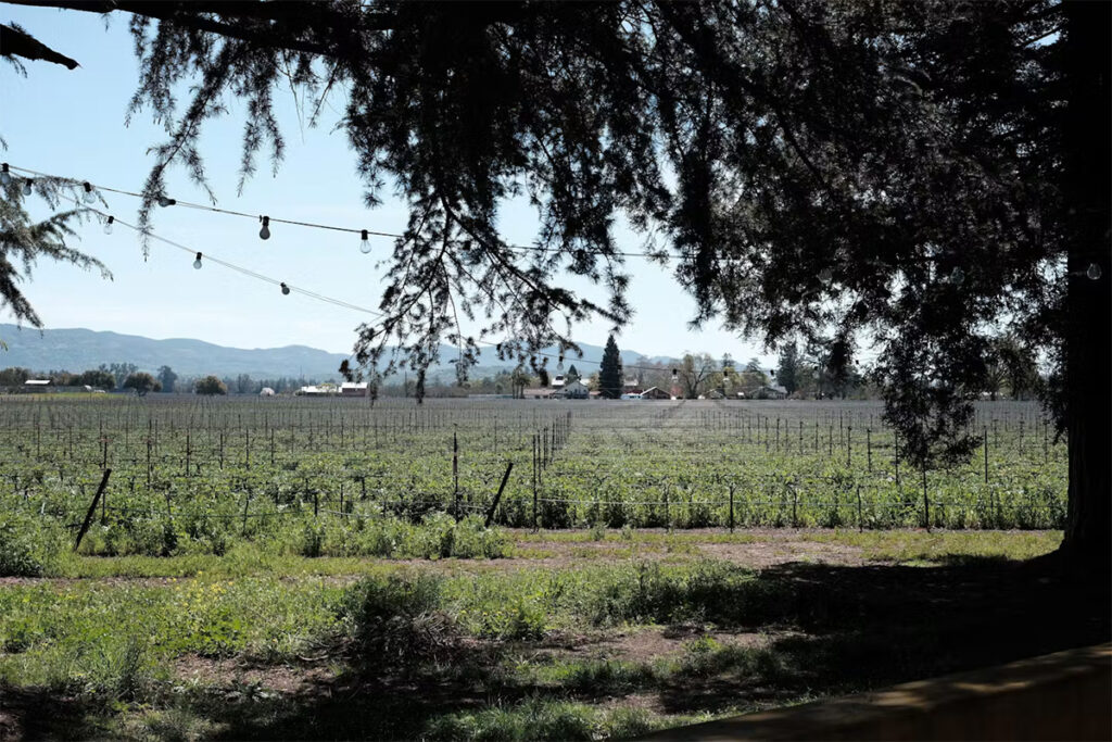 BackstageWinery104 1024x683