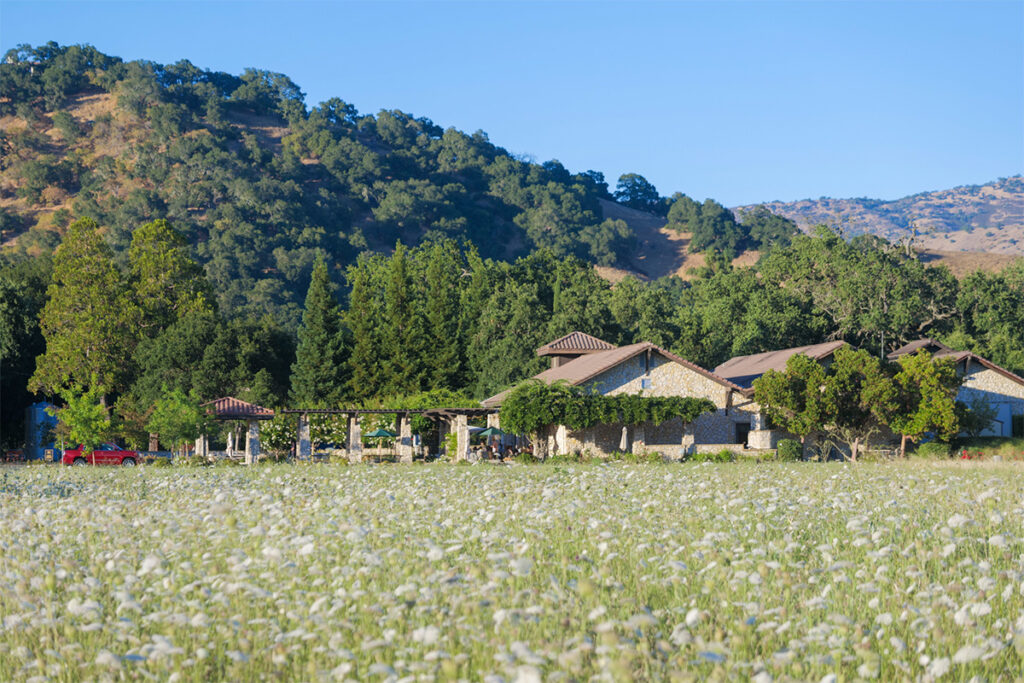 BellWineCellars1003 1024x683