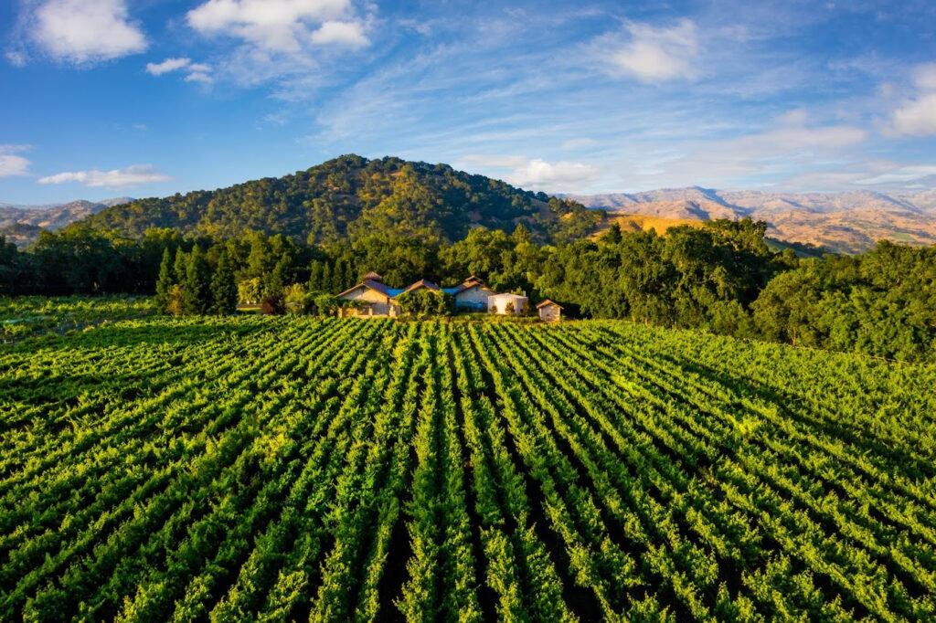 BellWineCellars10034 1024x682