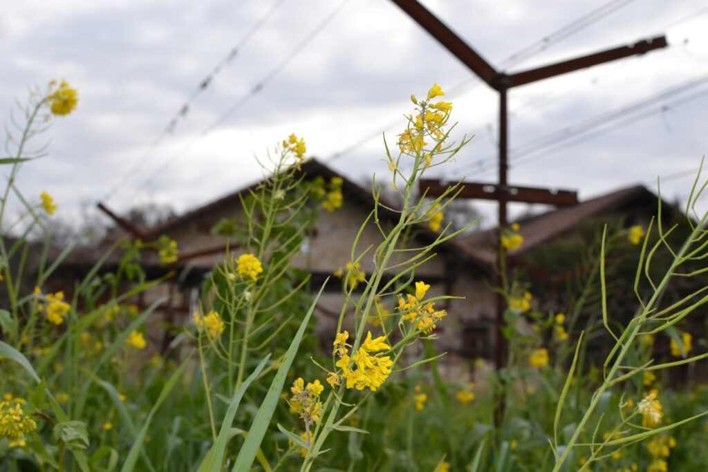 BellWineCellars1008 1024x683