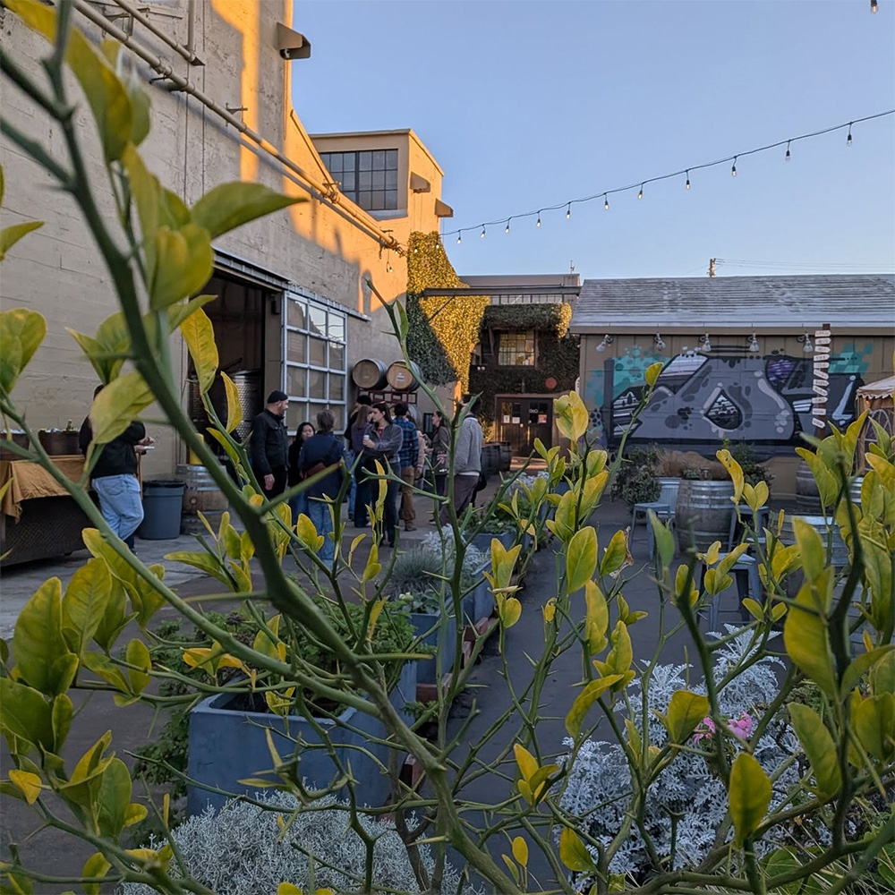 DonkeyandGoatWineryberkeley112