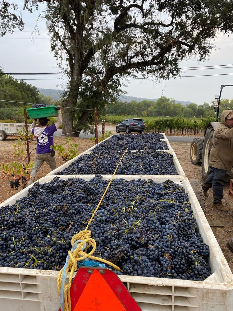 SapphireHillWineryhealdsburg1047