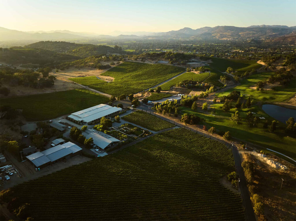 ShadybrookEstateWinery101 1024x767