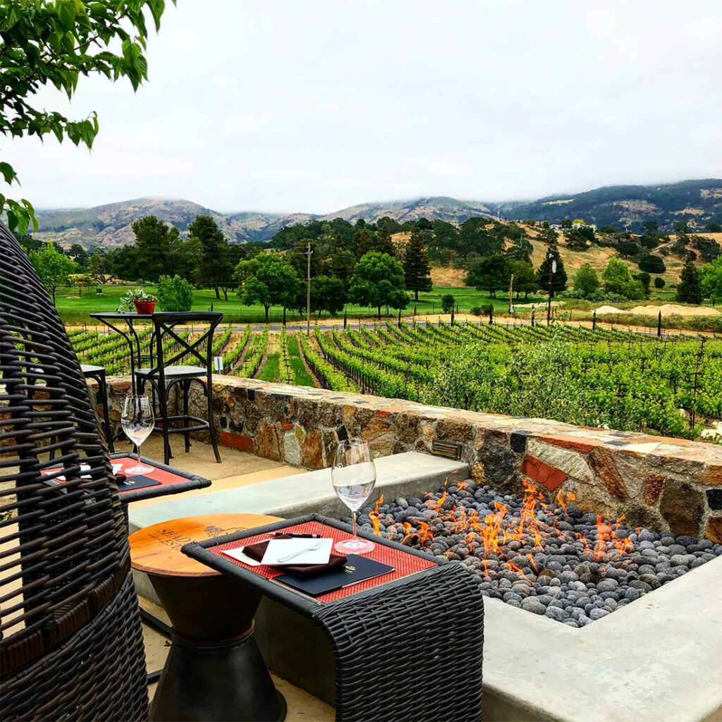 ShadybrookEstateWinery104 1024x1024