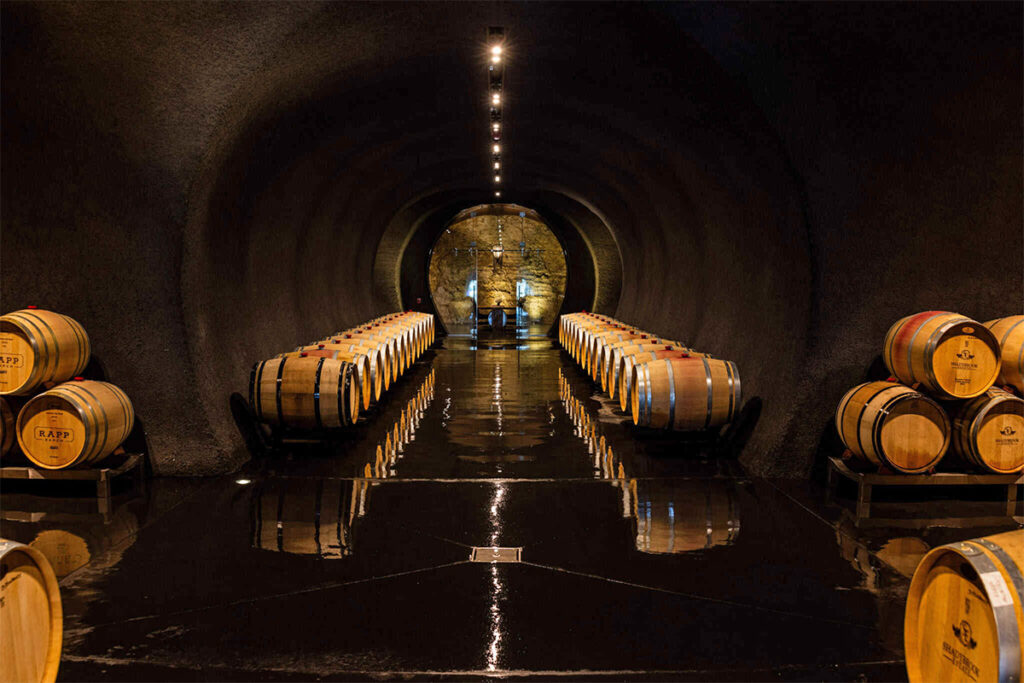 ShadybrookEstateWinery106 1024x683