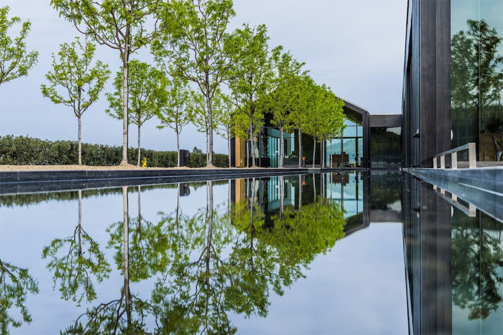 SilverOakCellarsAlexanderValley101 1024x683