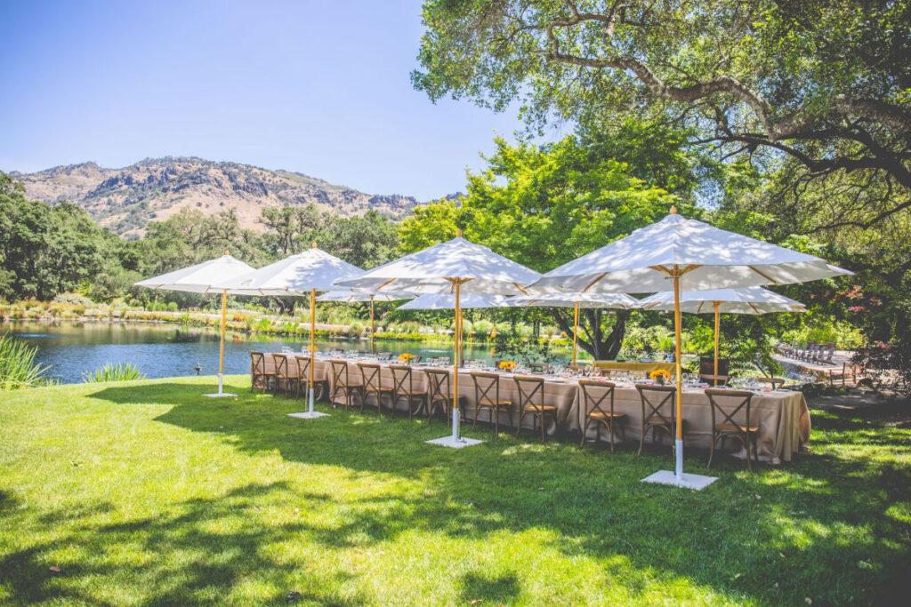 StagsLeapWineCellars14 1024x683