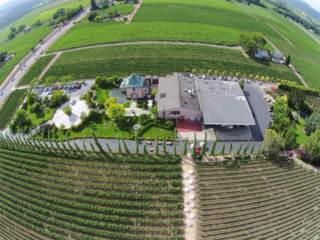 pejuwinery114 1024x768