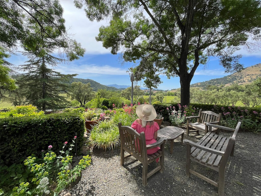 stagsleapwinery110 1024x768