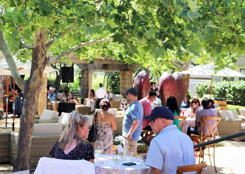 CliffLedeVineyards1 1024x725