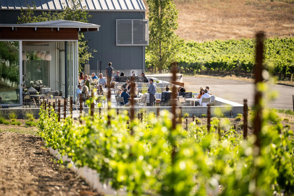 CuvaisonWinery9 1024x683