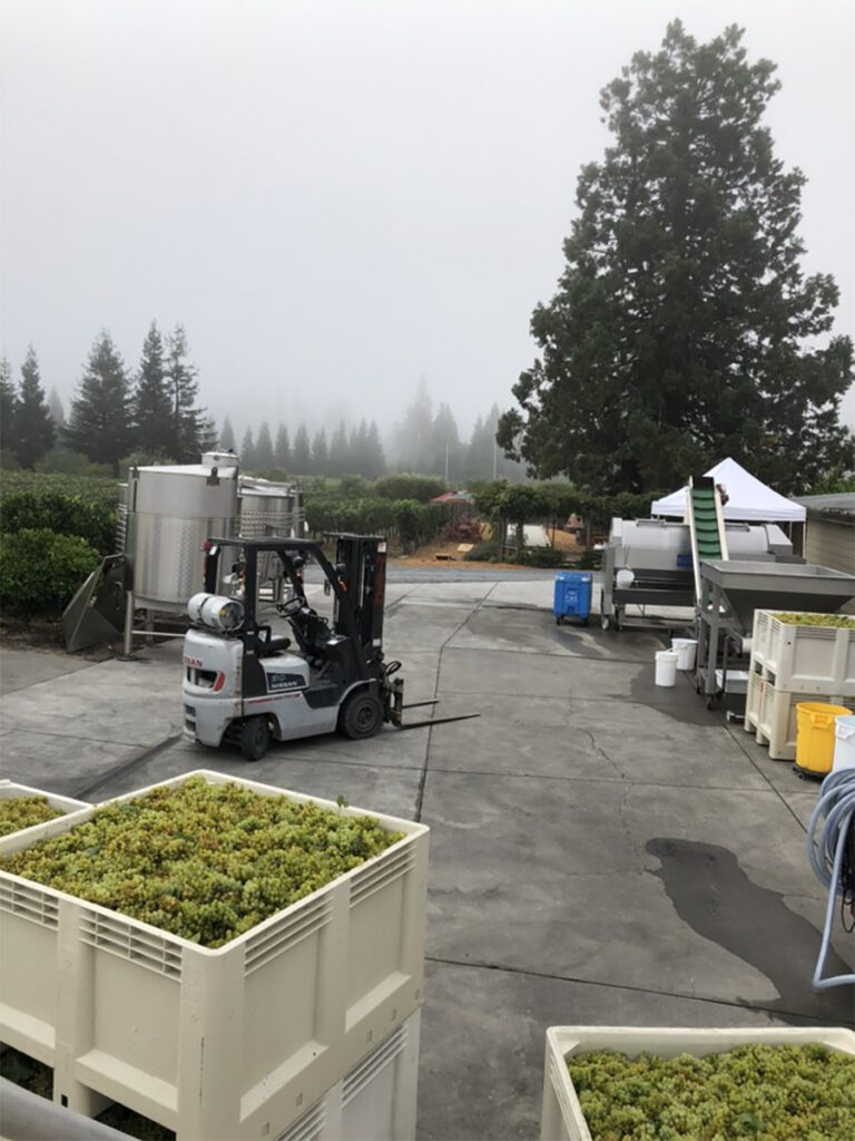 FurthermoreWinesSebastopolTastingRoomCourtyard1 768x1024