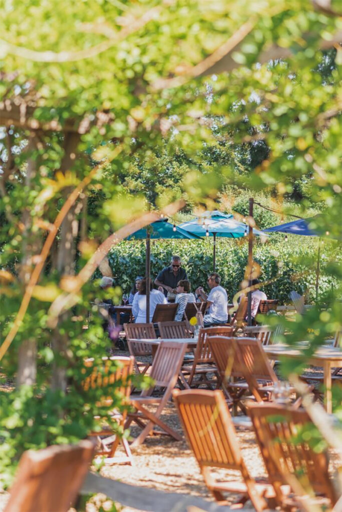 FurthermoreWinesSebastopolTastingRoomCourtyard5 683x1024