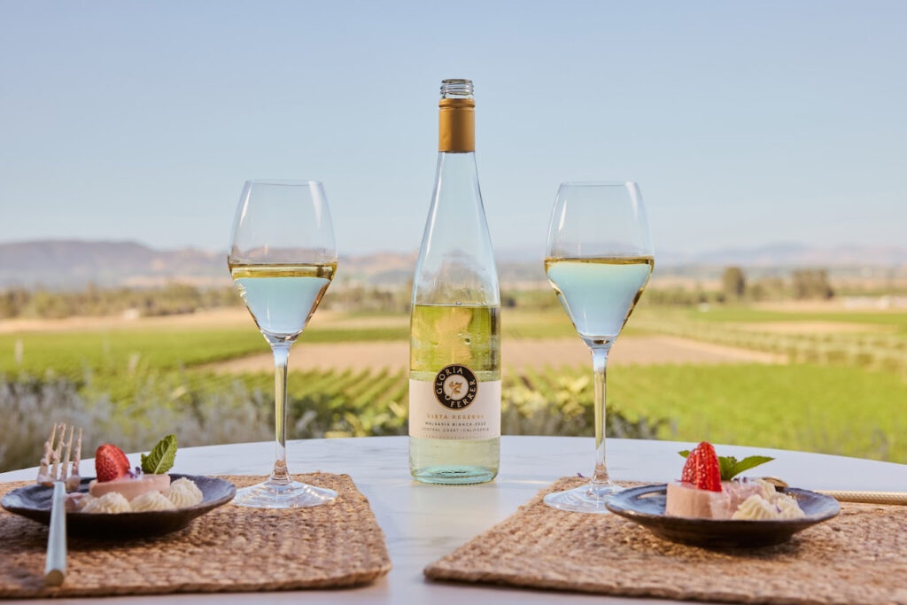 GloriaFerrerWinery47 1024x683