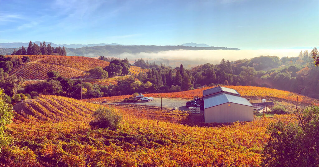 HawleyWineryEstateDryCreekValley1 1024x536