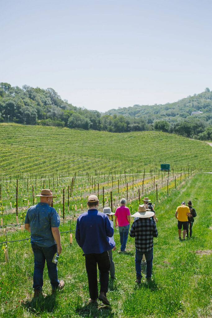 KivelstadtCellarsEstateVineyards101 683x1024