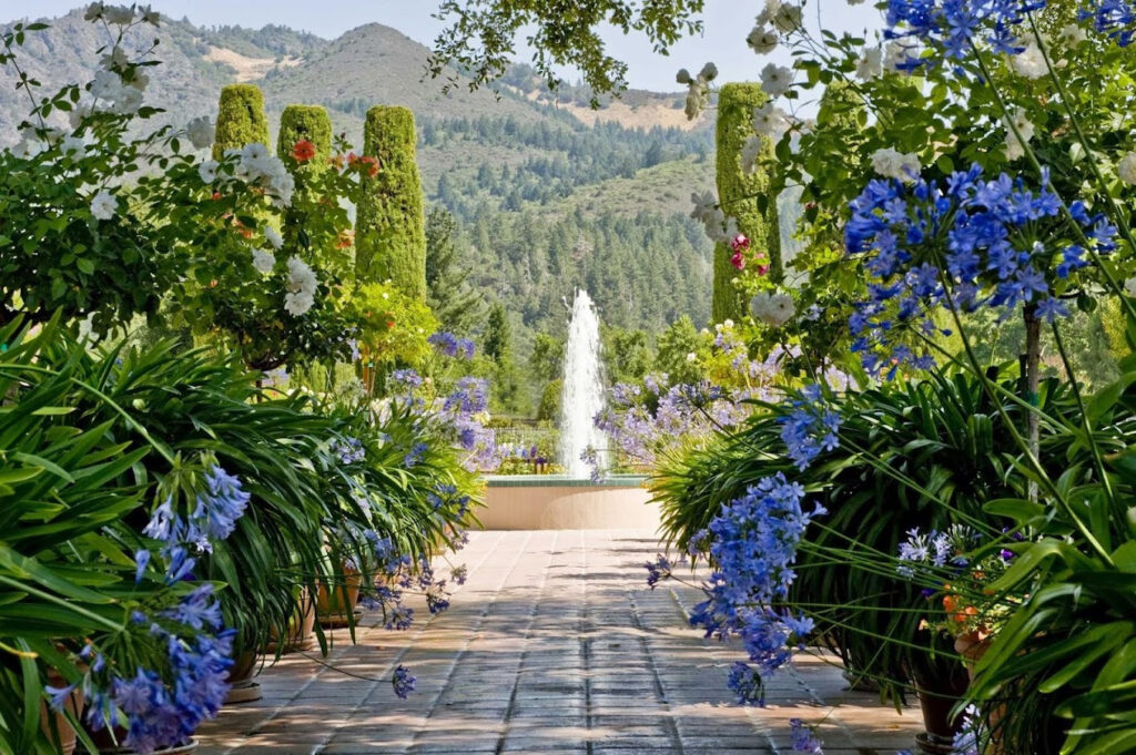 LandmarkVineyardsKenwoodEstate8 1024x681
