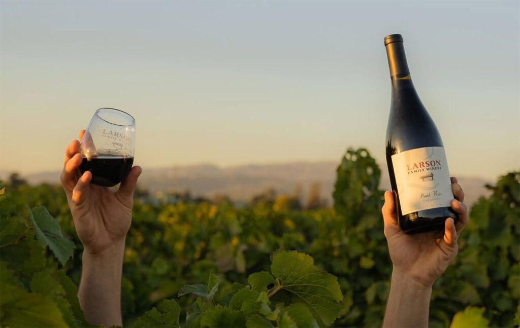 LarsonFamilyWinery104 1024x647