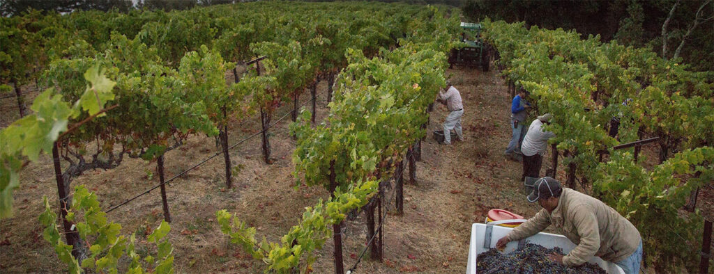 LongMeadowRanchMountainEstateTastingRoom2 1024x394