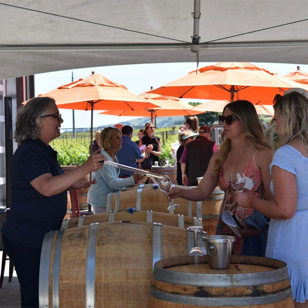 RocheWinerysonoma1004 1024x1024