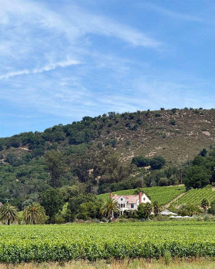 SCRIBEWinery1044 819x1024