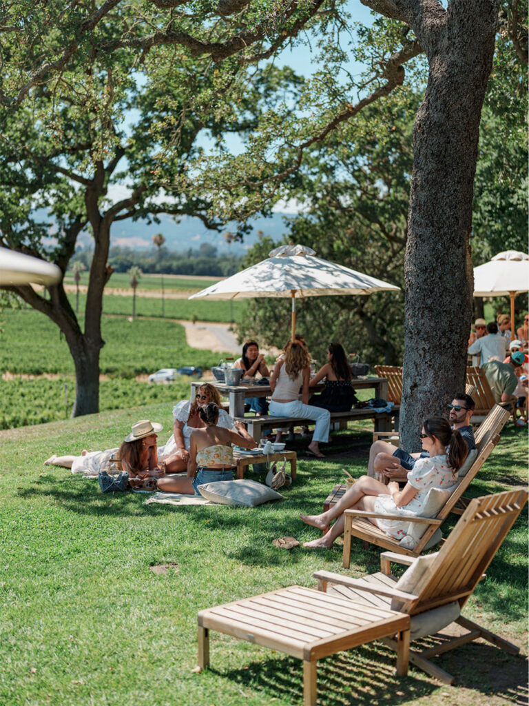 SCRIBEWinery1045 768x1024