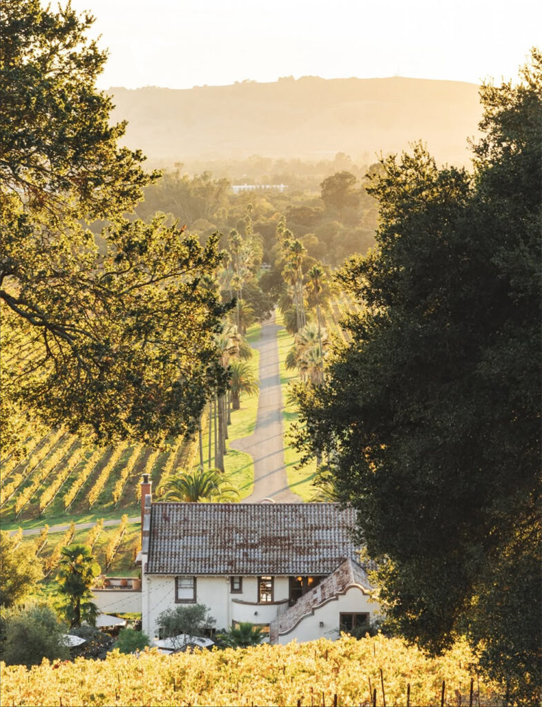 SCRIBEWinery105 785x1024