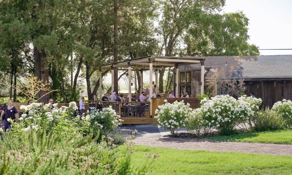 WilliamsonWinesYoakimBridgeEstate3 1024x614