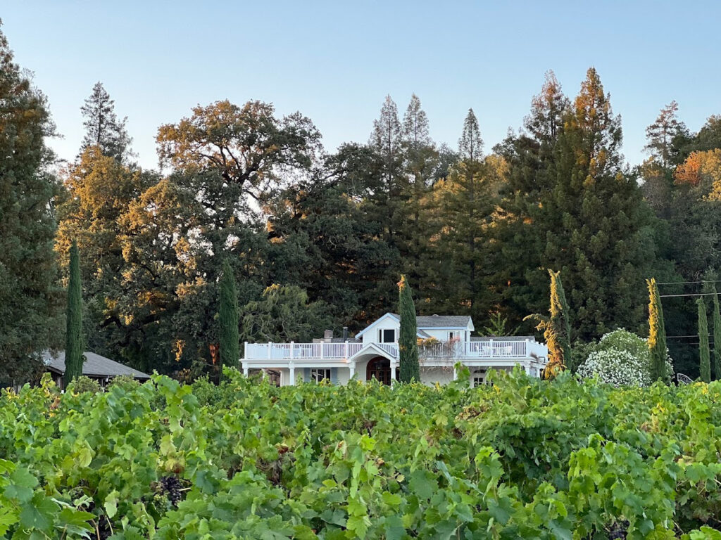 WilliamsonWinesYoakimBridgeEstate4 1024x768