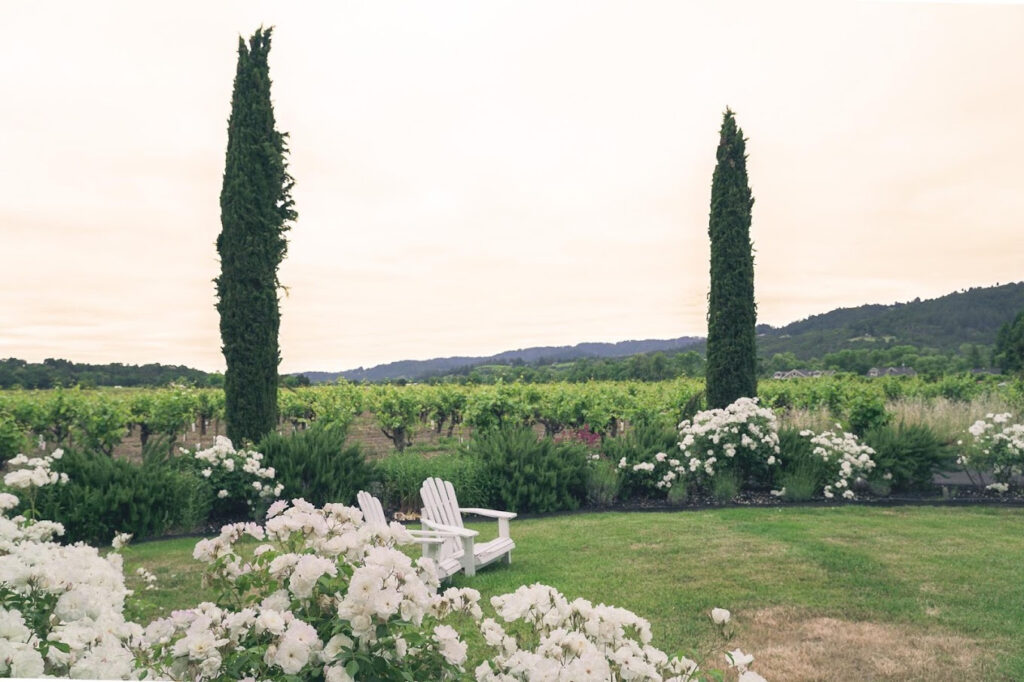 WilliamsonWinesYoakimBridgeEstate6 1024x682