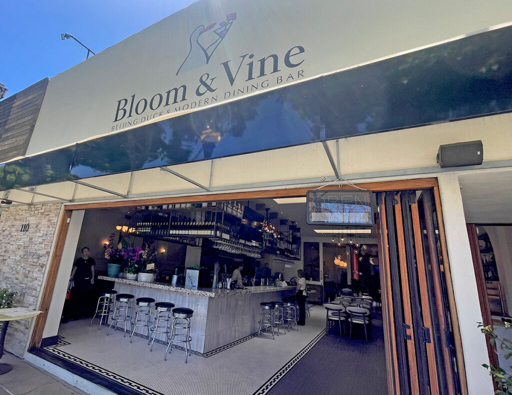 bloomandvinemountainview502 1024x790