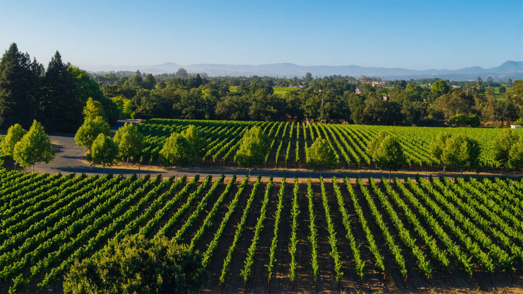 deloachvineyards2 1024x576
