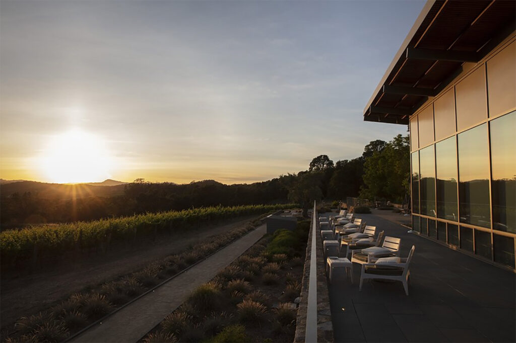 hamelfamilywines3 1024x682