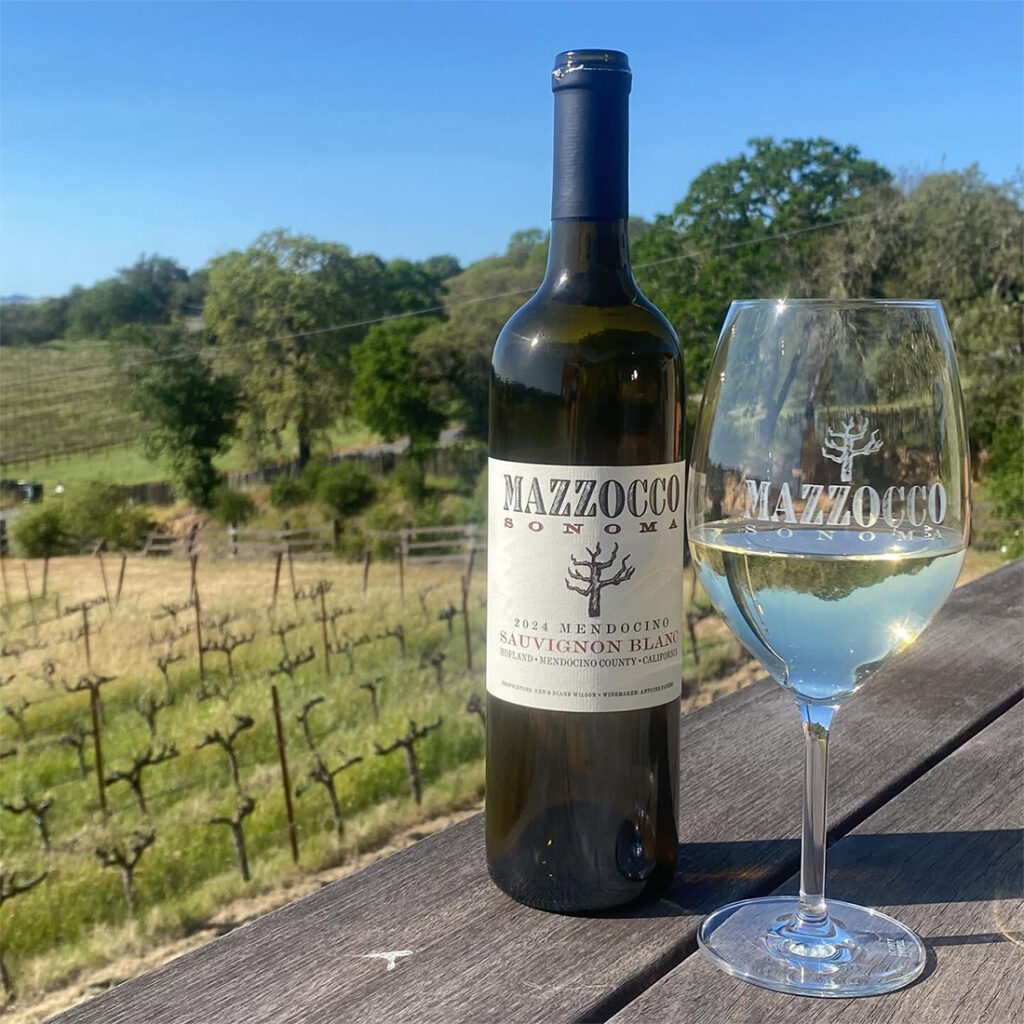 MazzoccoSonoma6 1024x1024
