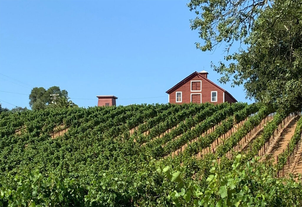 OptimaWinery4 1024x702