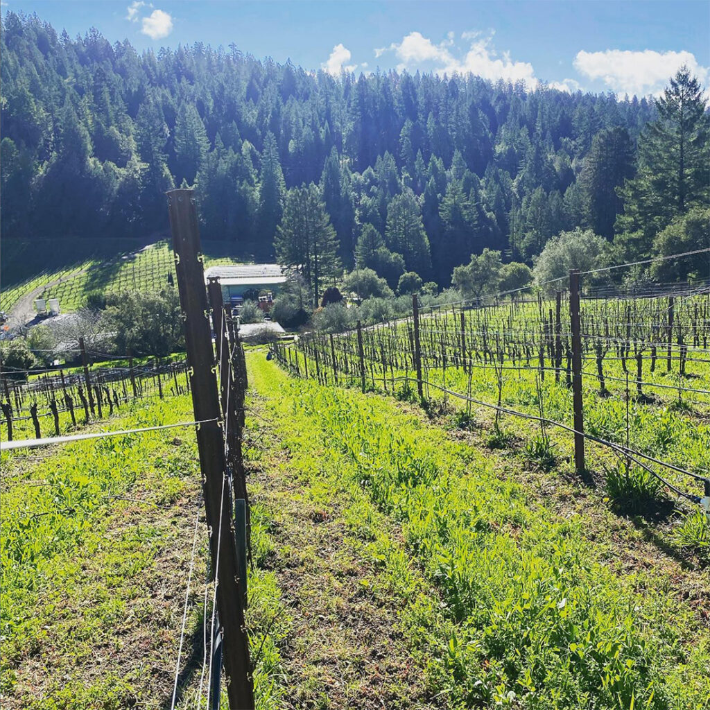 PorterBassWinery2 1024x1024