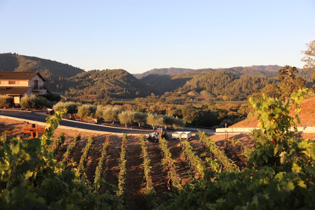 TrattoreFarmsandWinery1 1024x683
