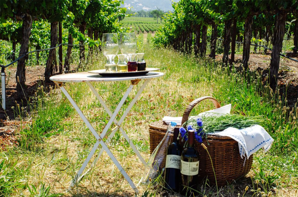 TrioneVineyardsandWinery7 1024x678