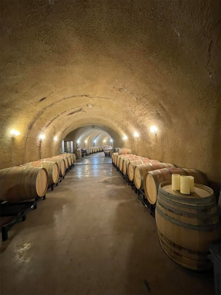 VineyardofPasterick3 768x1024