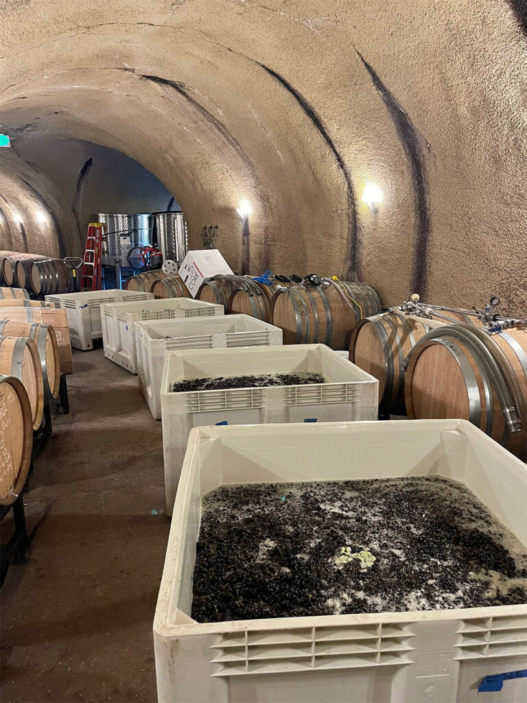 VineyardofPasterick4 768x1024