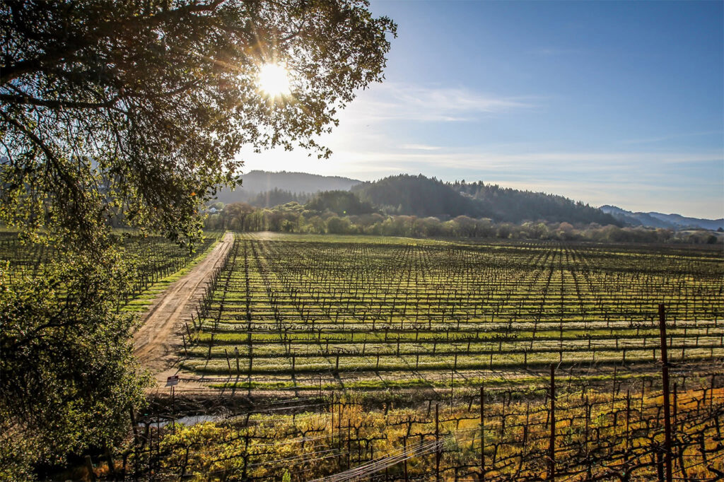 WilsonWinery111 1024x682