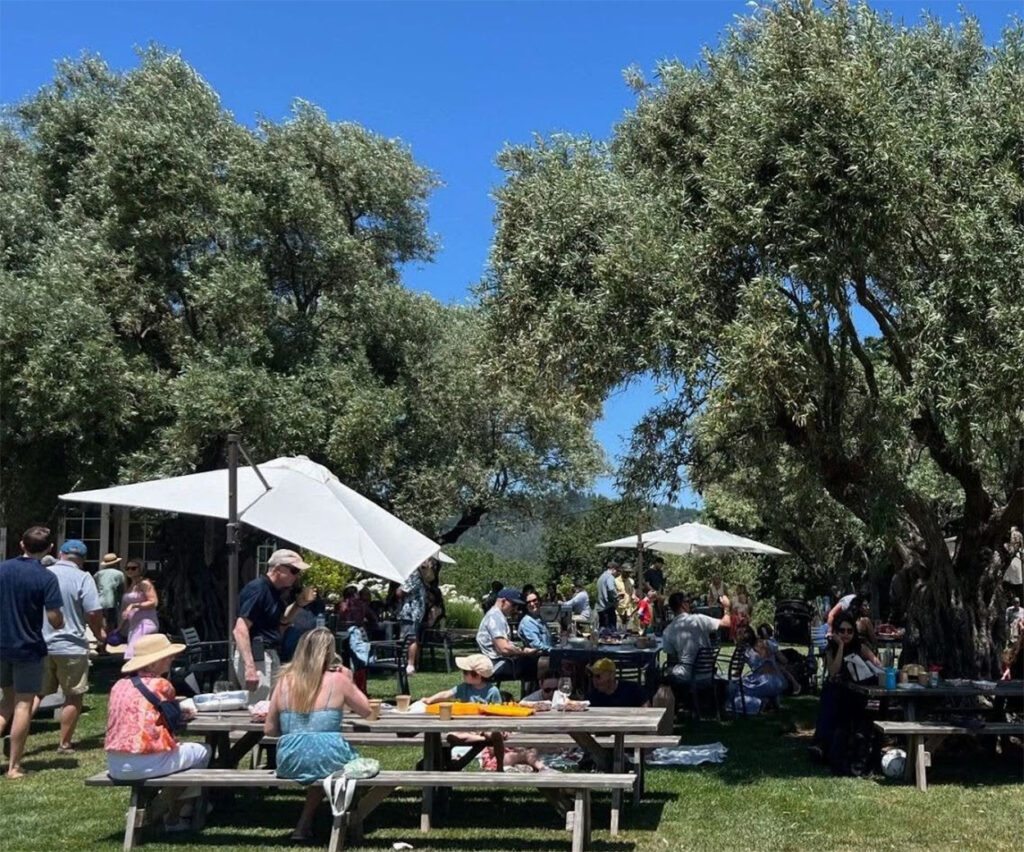 bellawinery1 1024x852