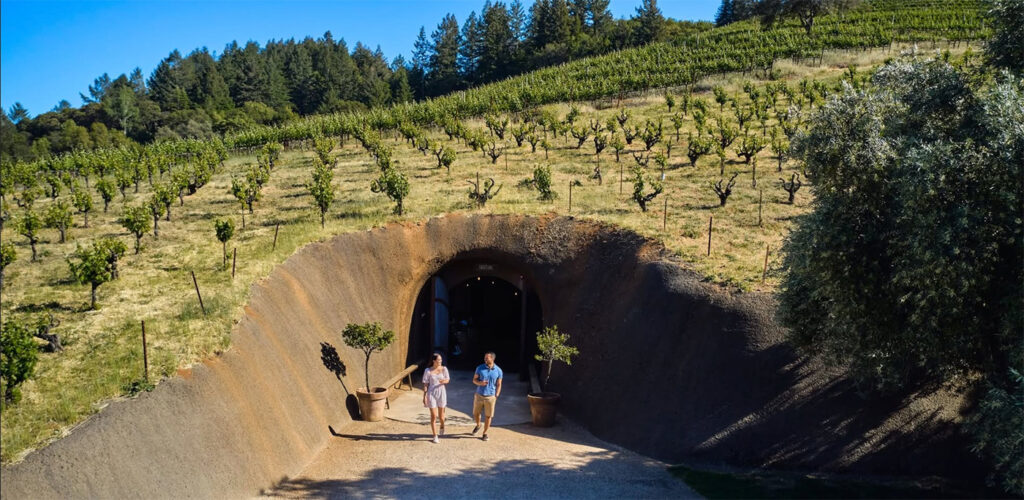 bellawinery3 1024x500