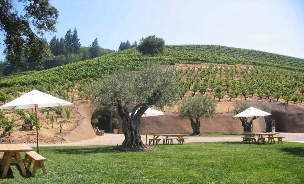 bellawinery6 1024x623