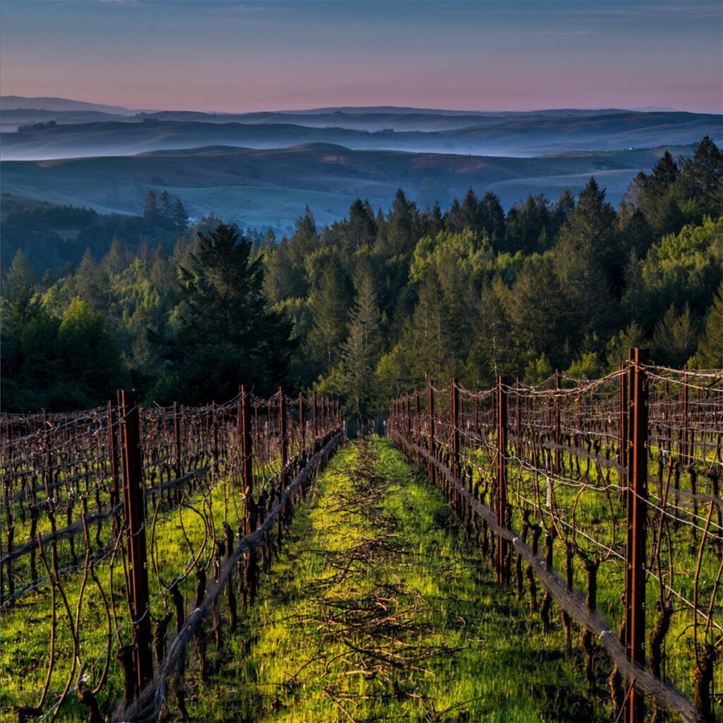 flanaganwines1 1024x1024