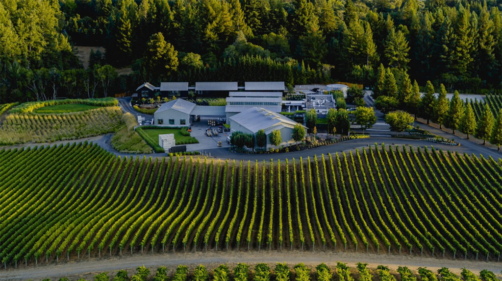 paulhobbswinery1 1024x574