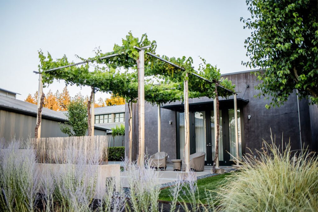 paulhobbswinery13 1024x683