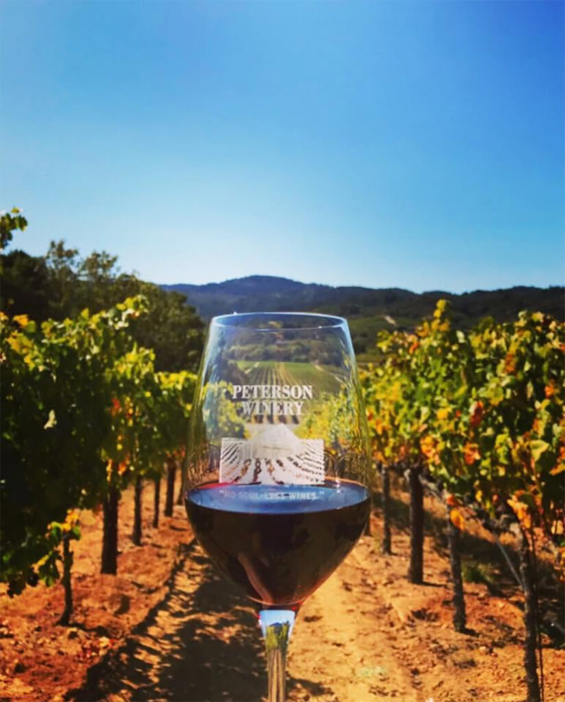 petersonwinery2 824x1024